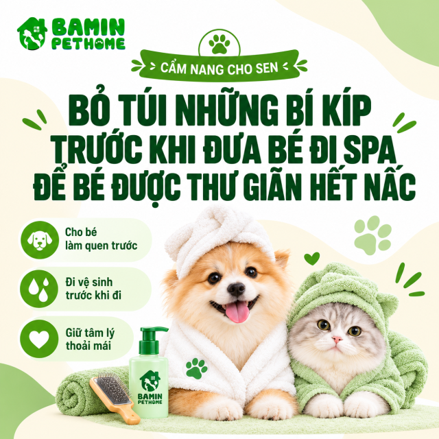 BỎ TÚI NHỮNG BÍ KÍP TRƯỚC KHI ĐƯA BÉ ĐI SPA ĐỂ BÉ ĐƯỢC THƯ GIÃN HẾT NẤC
