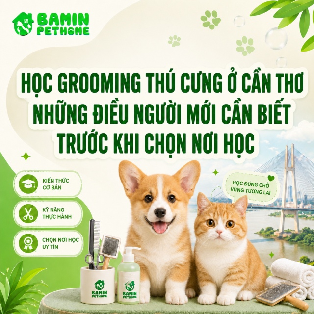 HỌC GROOMING THÚ CƯNG Ở CẦN THƠ: NHỮNG ĐIỀU NGƯỜI MỚI CẦN BIẾT TRƯỚC KHI CHỌN NƠI HỌC