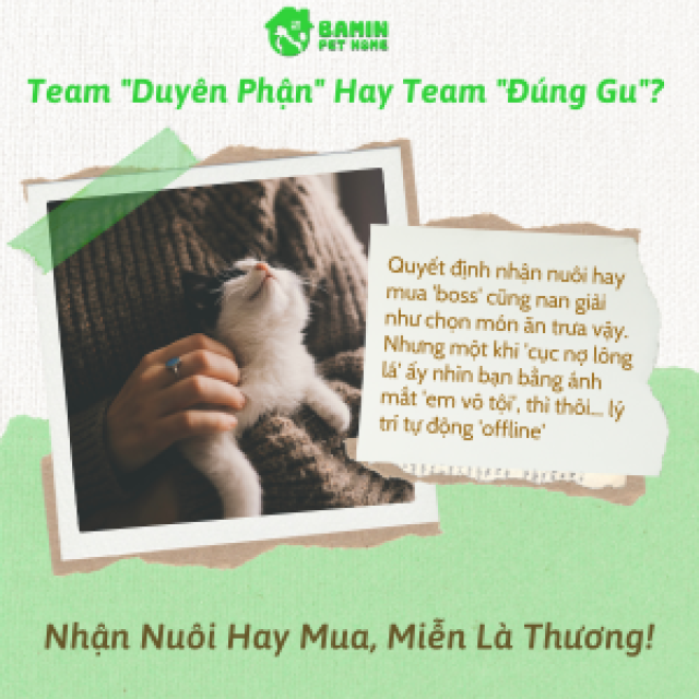 Nhận Nuôi Hay Mua Thú Cưng? Lắng Nghe Trái Tim Người Sen 