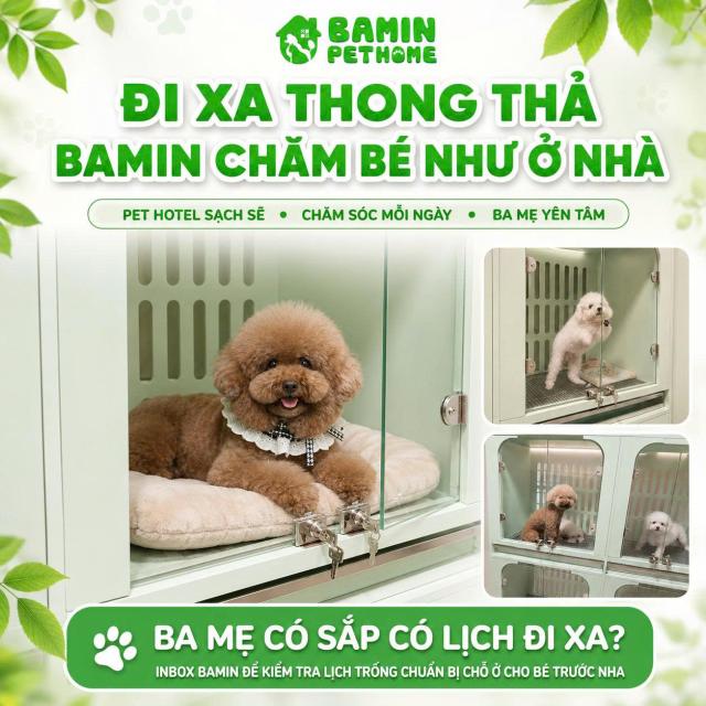 PET HOTEL LÀ GÌ? KINH NGHIỆM GỬI THÚ CƯNG AN TÂM KHI ĐI XA