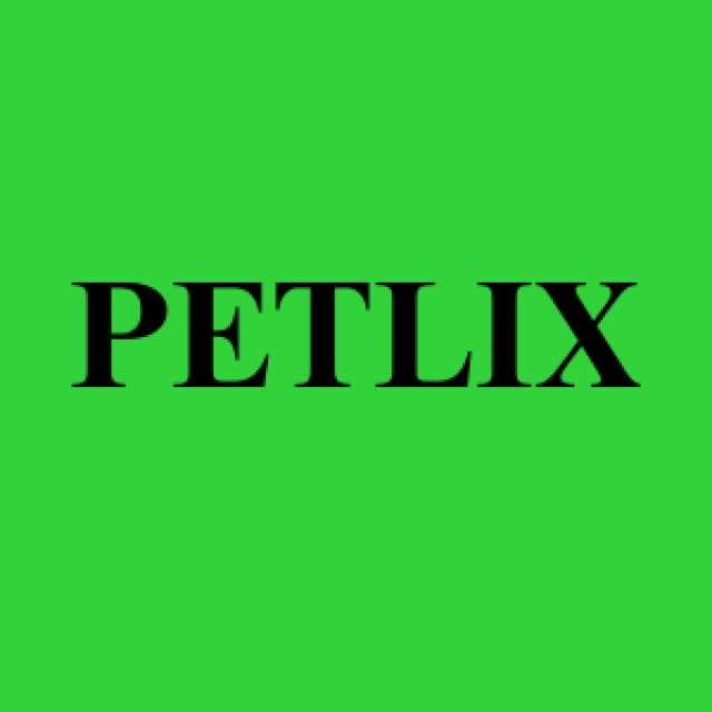 PETFLIX: 5 Phim Phải Xem Nếu Bạn Là Một Người Yêu Thú Cưng