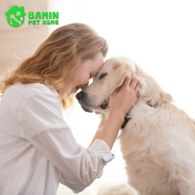 Từ lông xơ rối đến mềm mượt: Cẩm nang chăm sóc lông cho mọi loại thú cưng