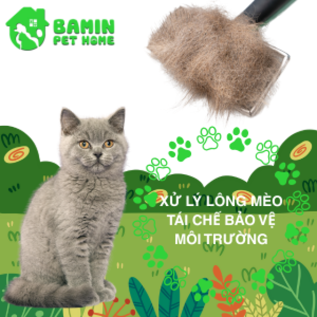 Xử Lý Lông Chó Mèo - Tái Chế Sáng Tạo, Bảo Vệ Môi Trường